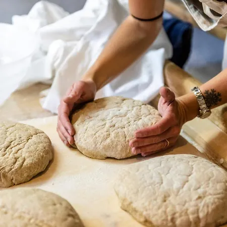 特里欧蕾酒店 酒店